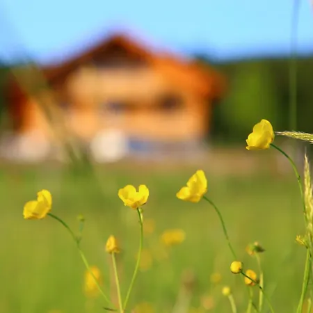 Naturpension Max-Hütte-3